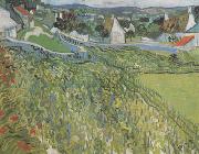 Vineyard with a View of Auvers (nn04) Vincent Van Gogh